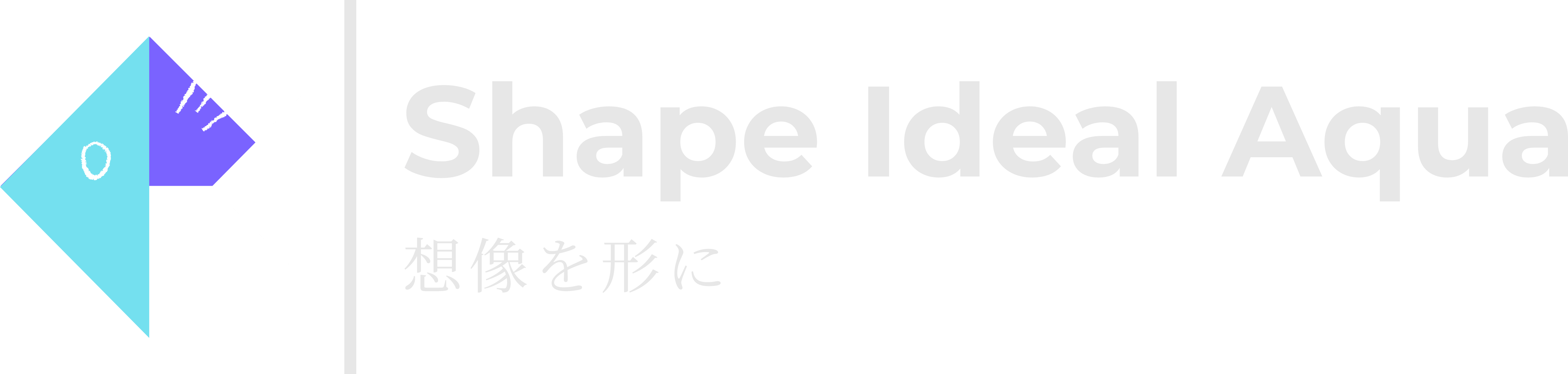 Shape Ideal Aqua